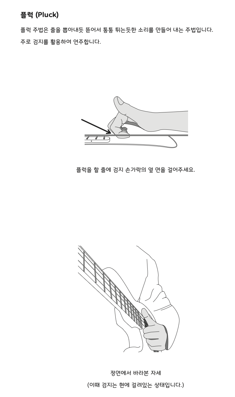 플럭-베이스-그림-자세