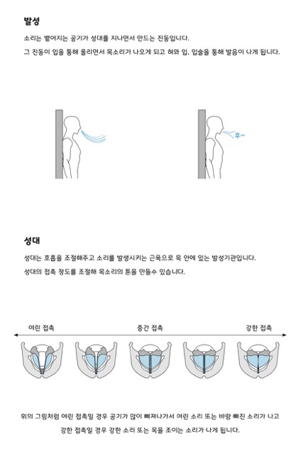 발성-성대-그림-연습법