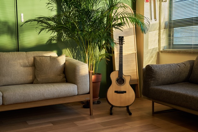 통기타 쇼파 식물