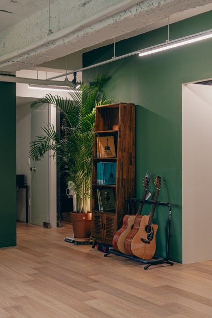 통기타 식물 책장