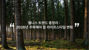 웰니스 트렌드 총정리 : 2026년 주목해야 할 라이프스타일 변화